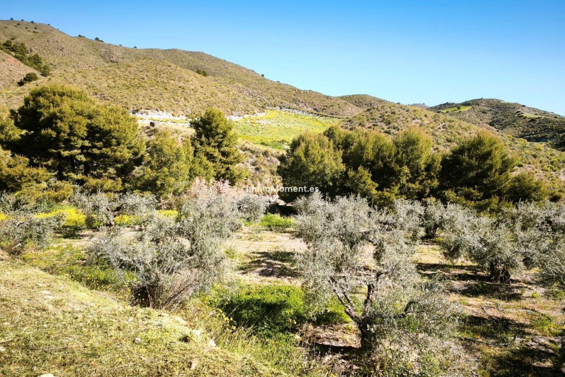 Revente - Terrain - Lorca - Lorca Centro