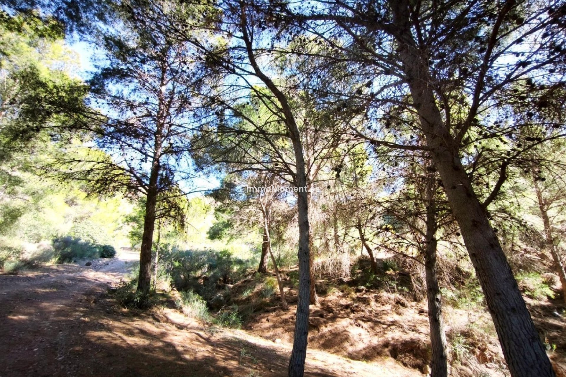 Revente - Terrain - Lorca - Lorca Centro