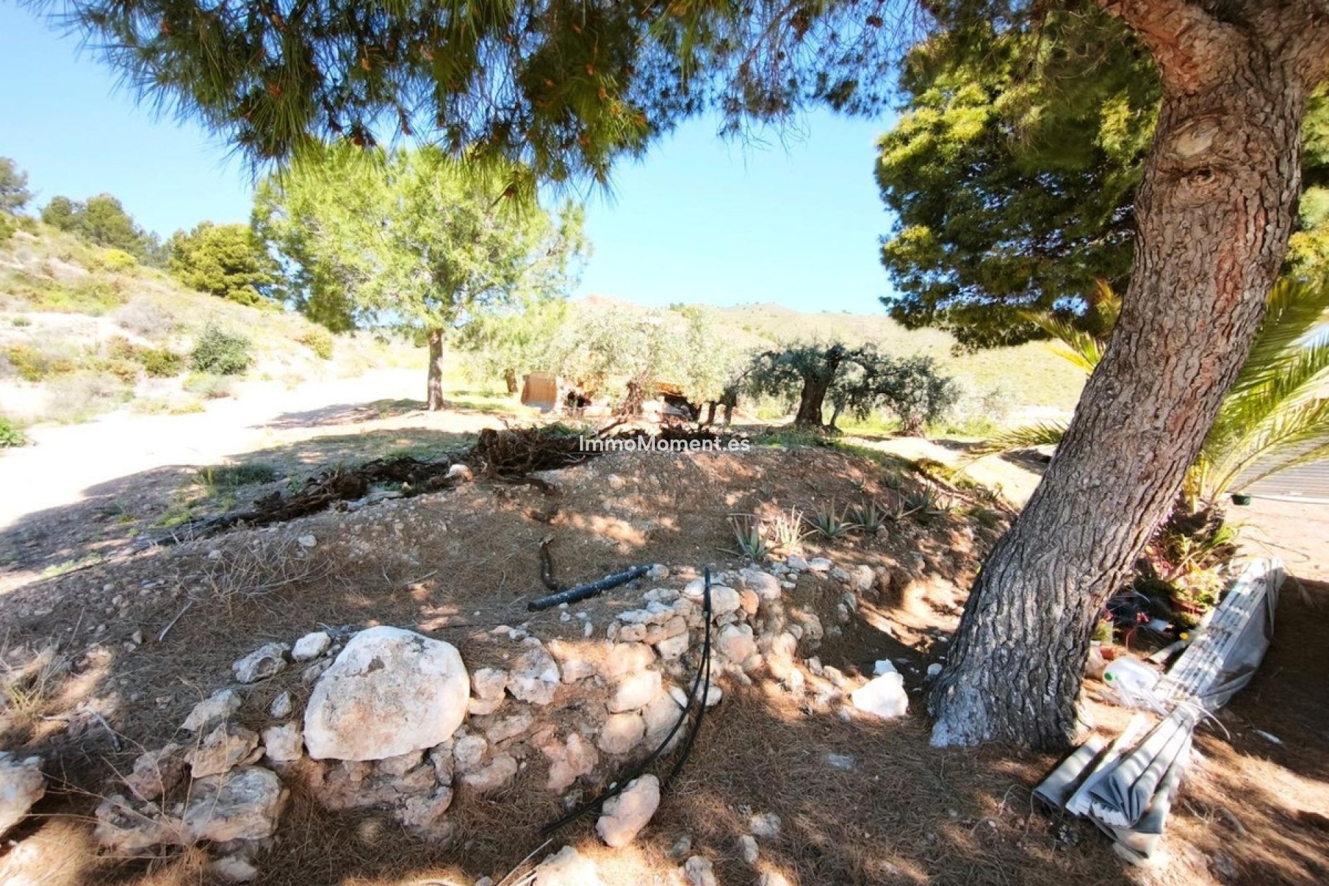 Revente - Terrain - Lorca - Lorca Centro