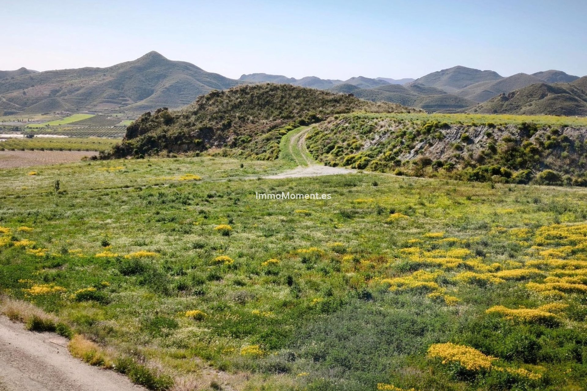 Revente - Terrain - Lorca - Lorca Centro
