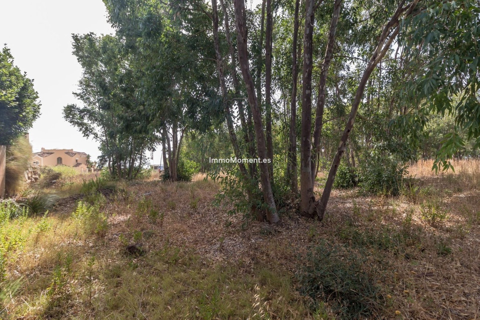 Revente - Terrain - Manilva