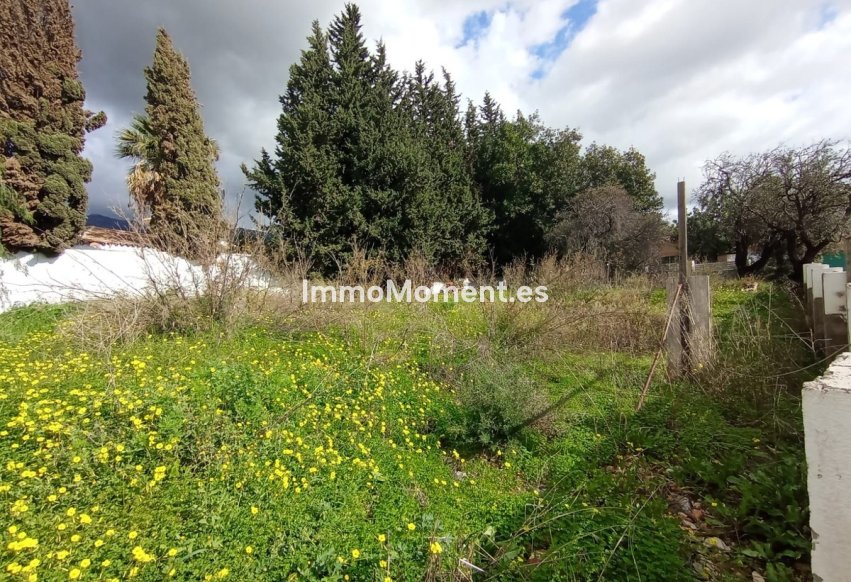 Revente - Terrain - Marbella - Marbella Centro