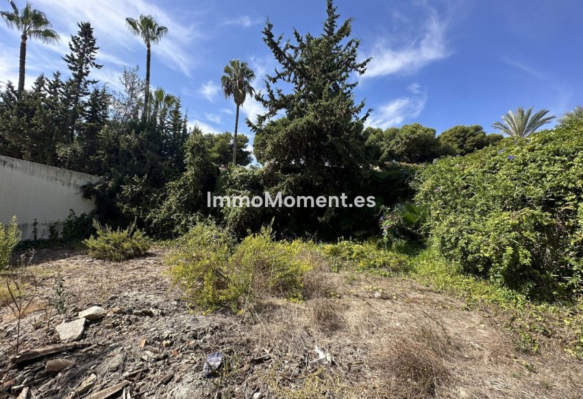 Revente - Terrain - Marbella - Nueva Andalucía