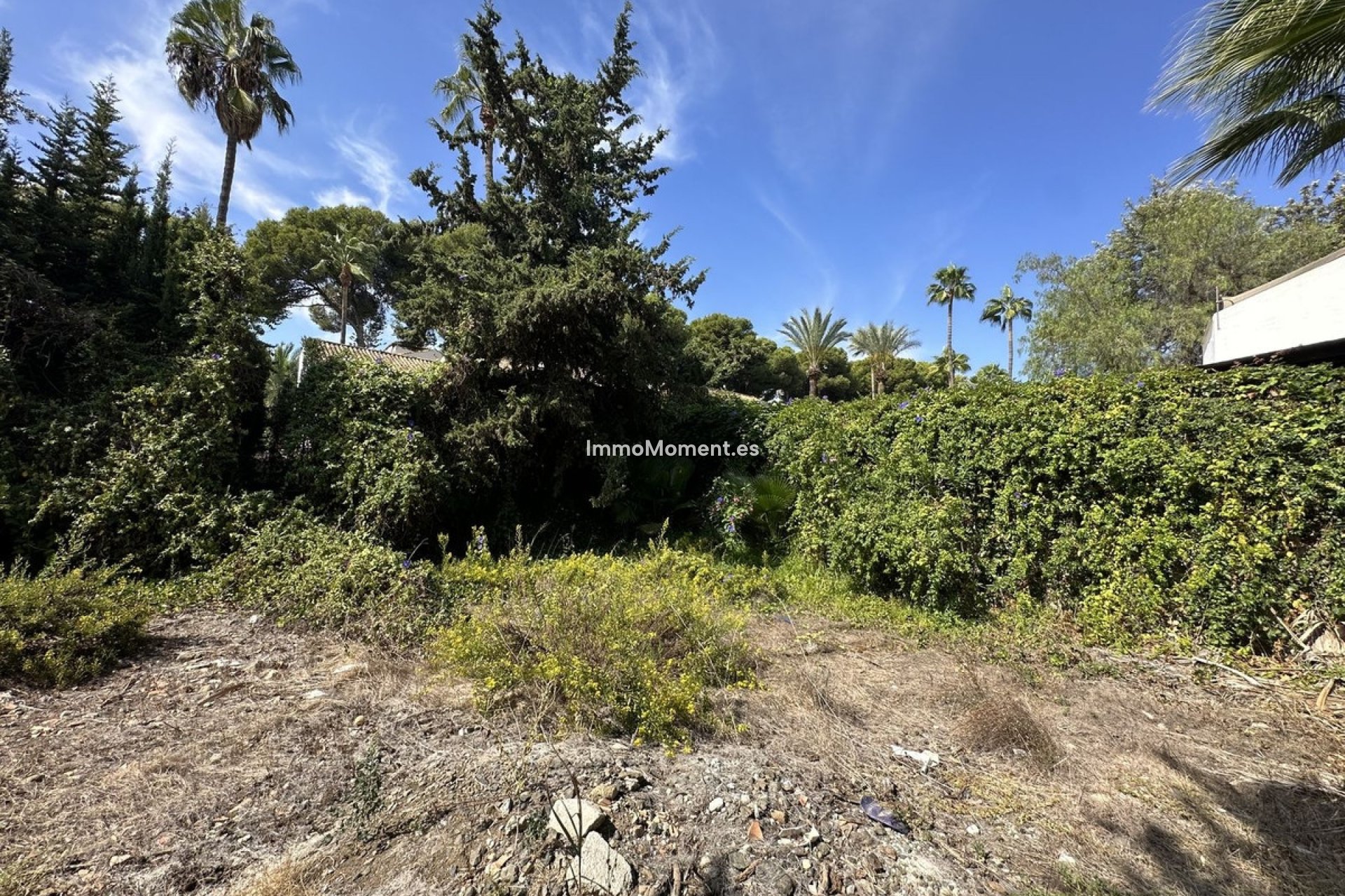 Revente - Terrain - Marbella - Nueva Andalucía