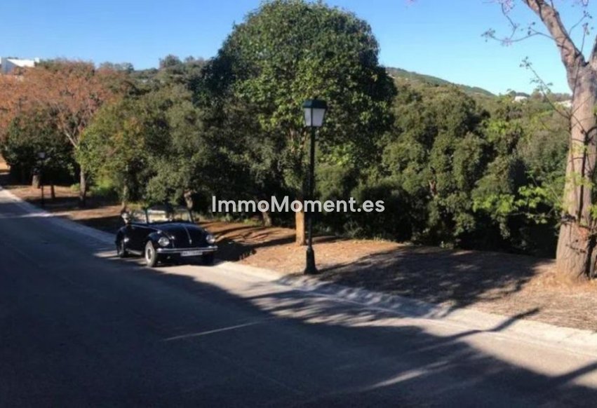 Revente - Terrain - Sotogrande - Sotogrande Alto