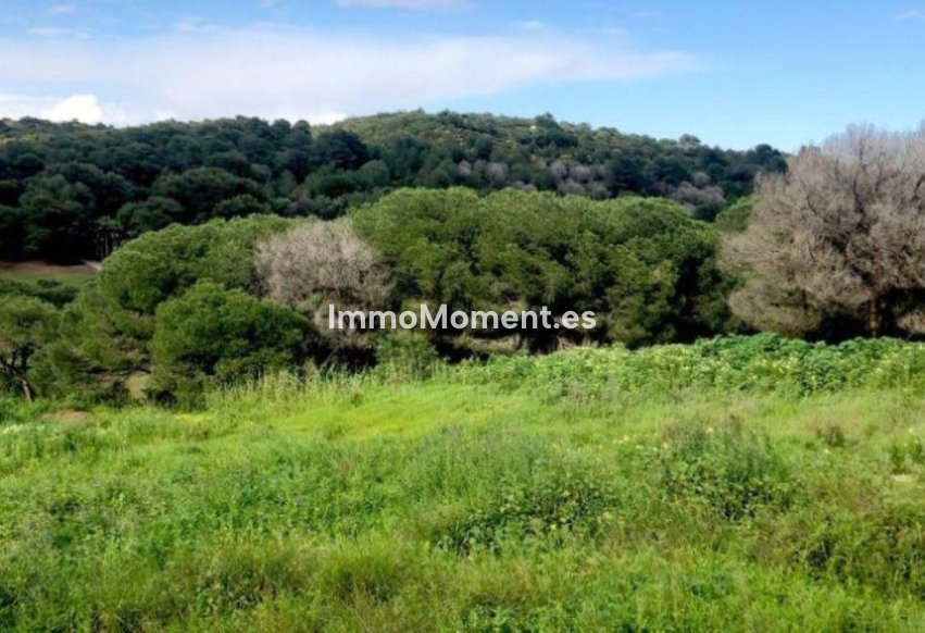 Revente - Terrain - Sotogrande