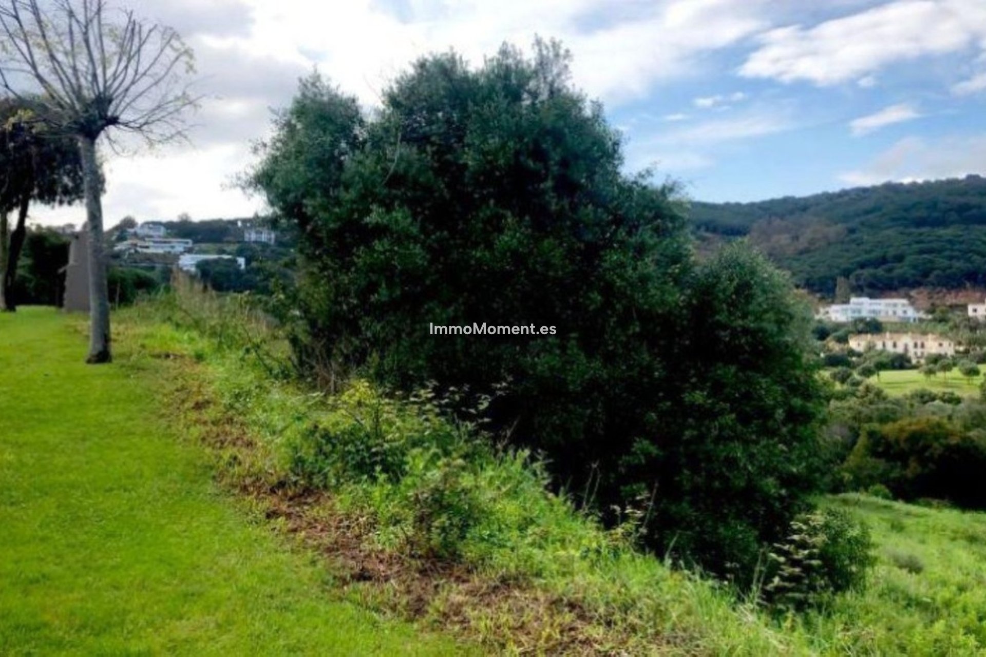 Revente - Terrain - Sotogrande