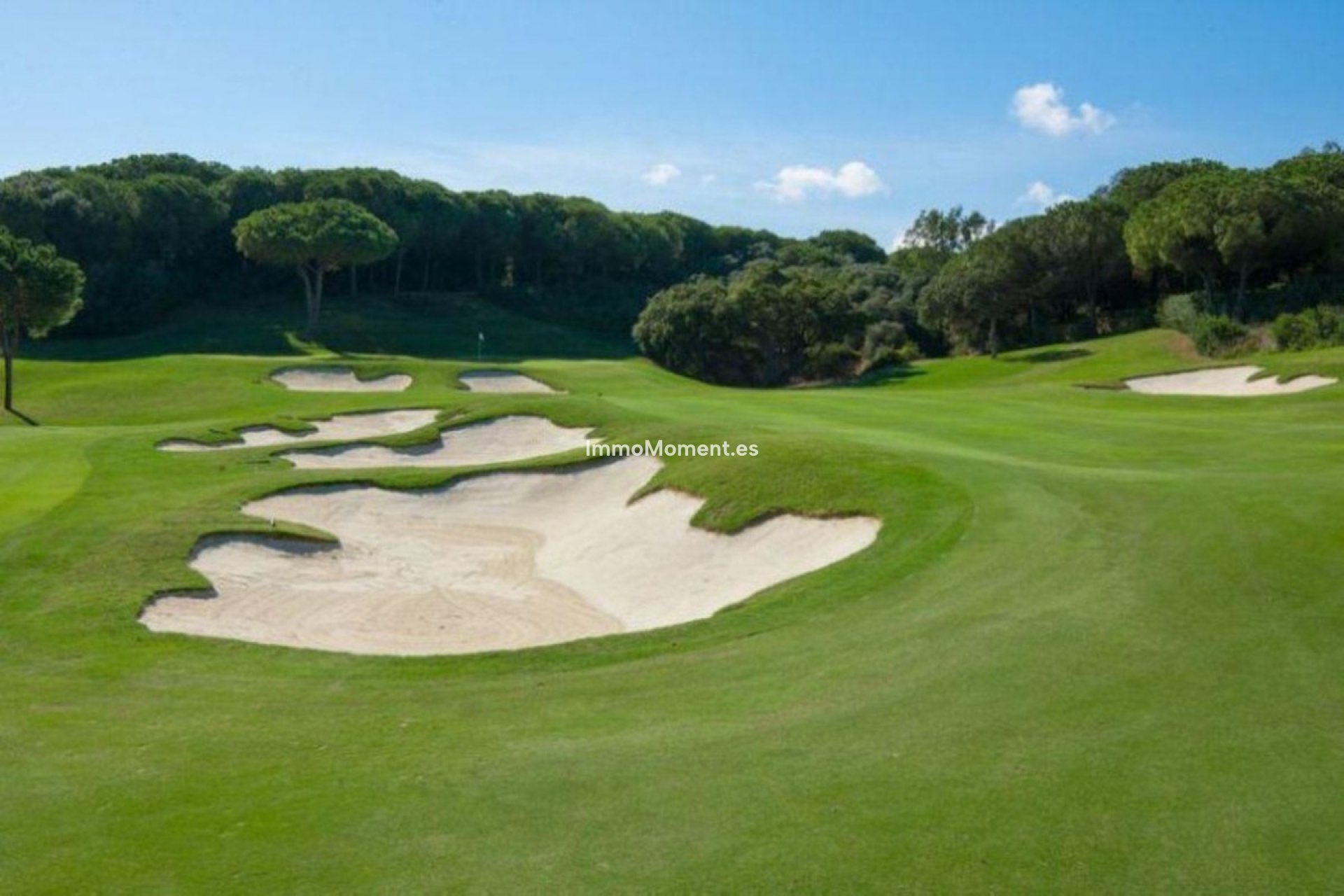 Revente - Terrain - Sotogrande