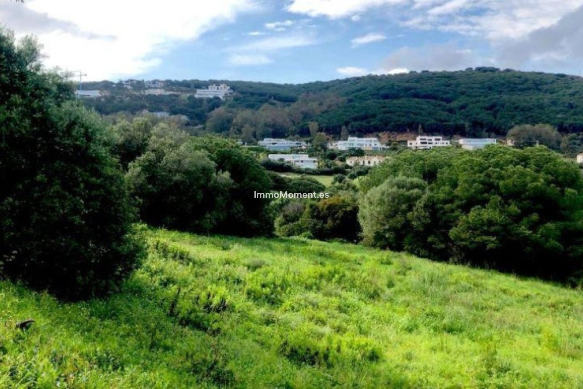 Revente - Terrain - Sotogrande