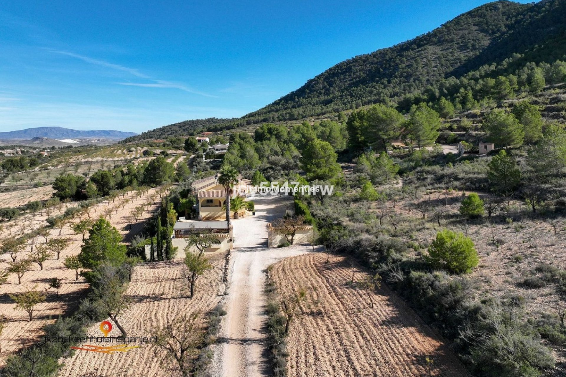Revente - Villa - Abanilla - Abanilla Centro