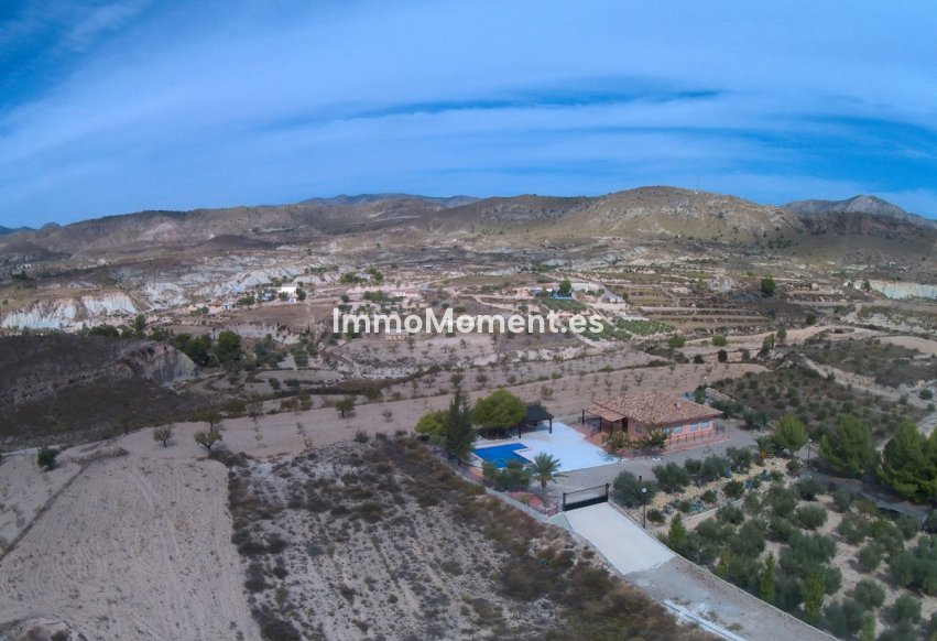 Revente - Villa - Abanilla - Abanilla Centro