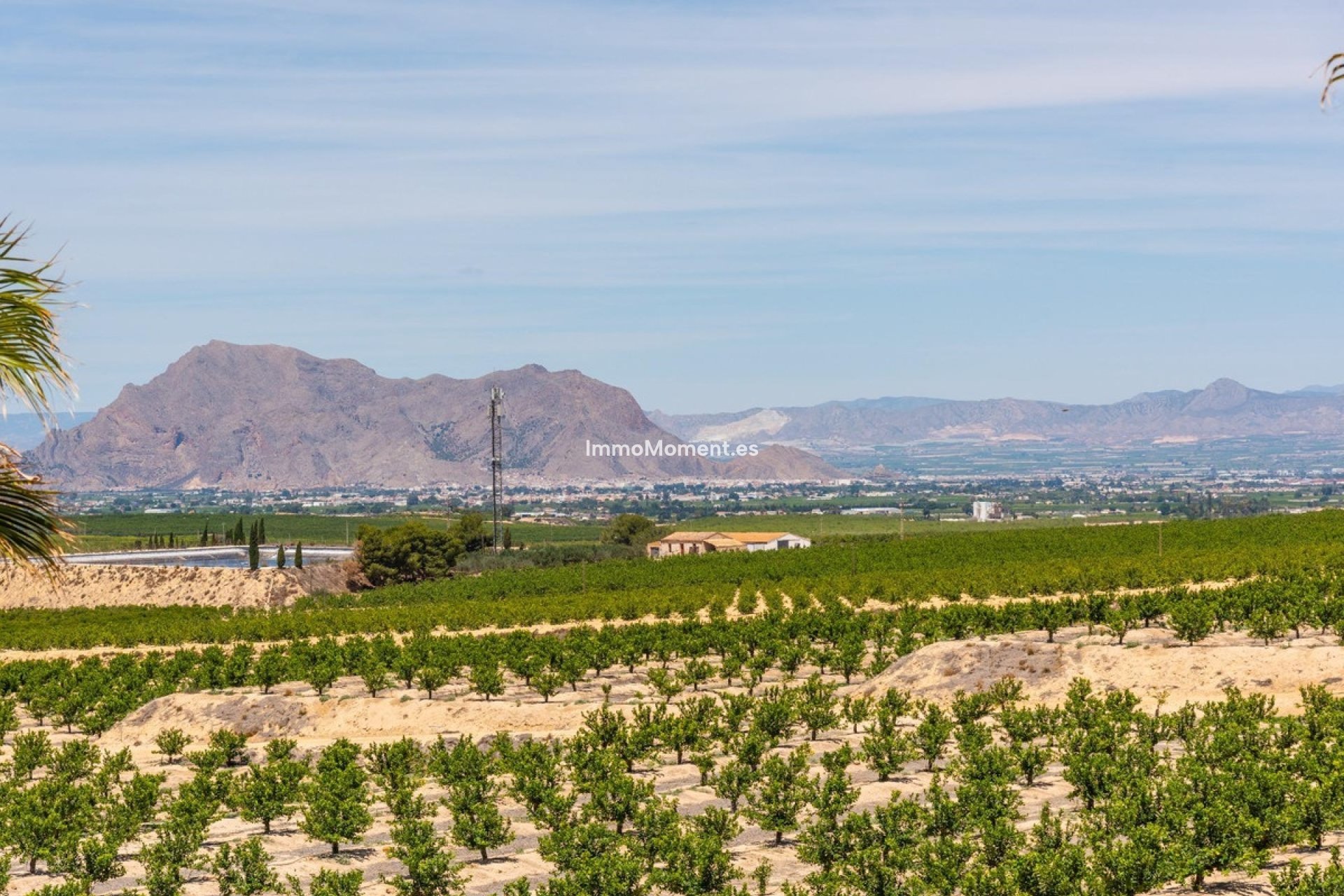 Revente - Villa - Algorfa - Algorfa Centro