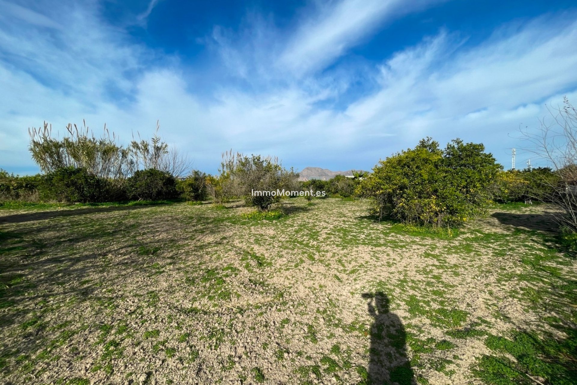 Revente - Villa - Benejúzar - Benejuzar Centro