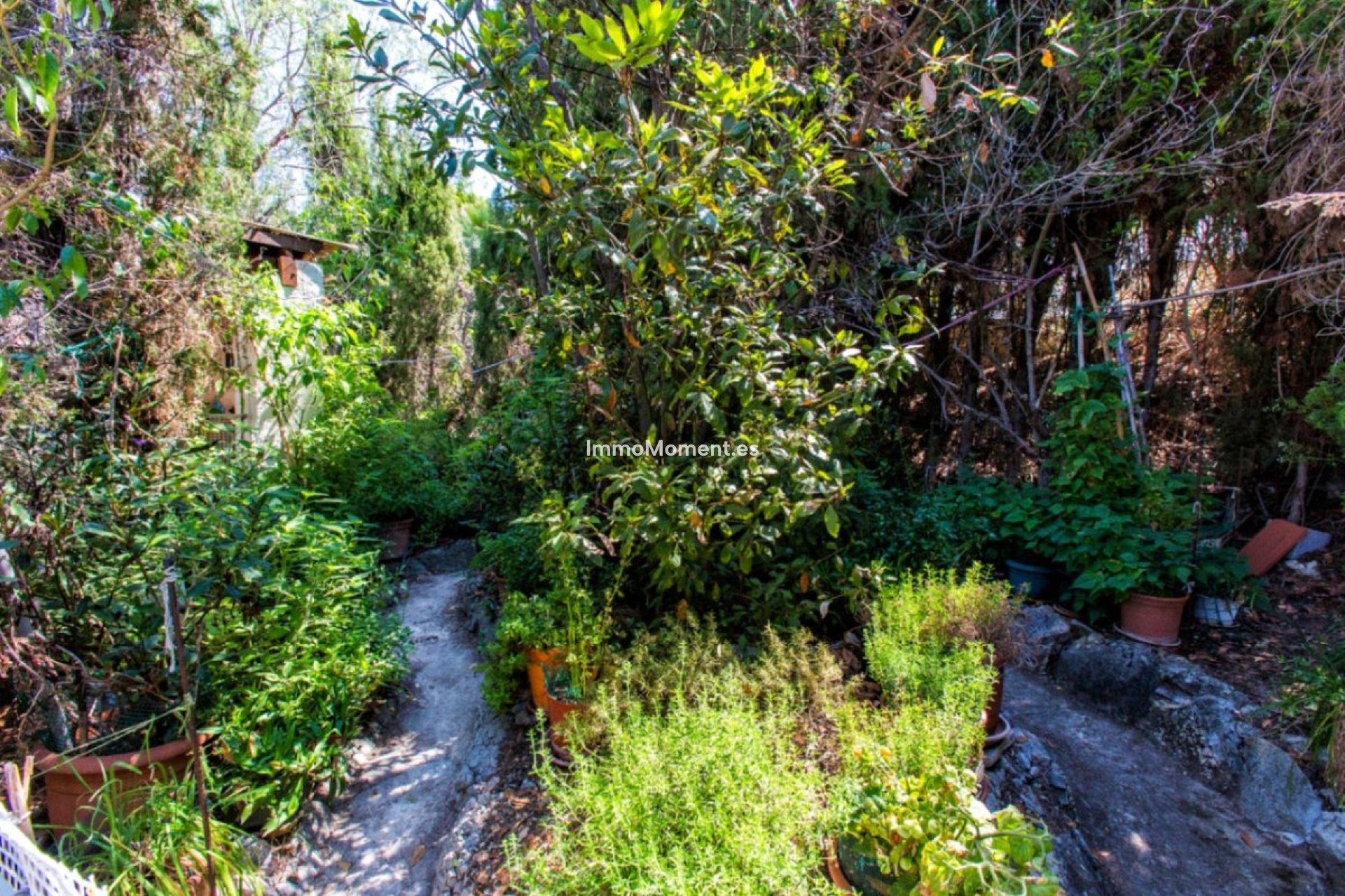 Revente - Villa - Calpe - Calpe Centro