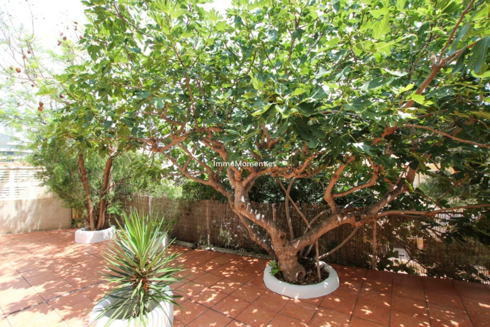 Revente - Villa - Calpe - Calpe Centro