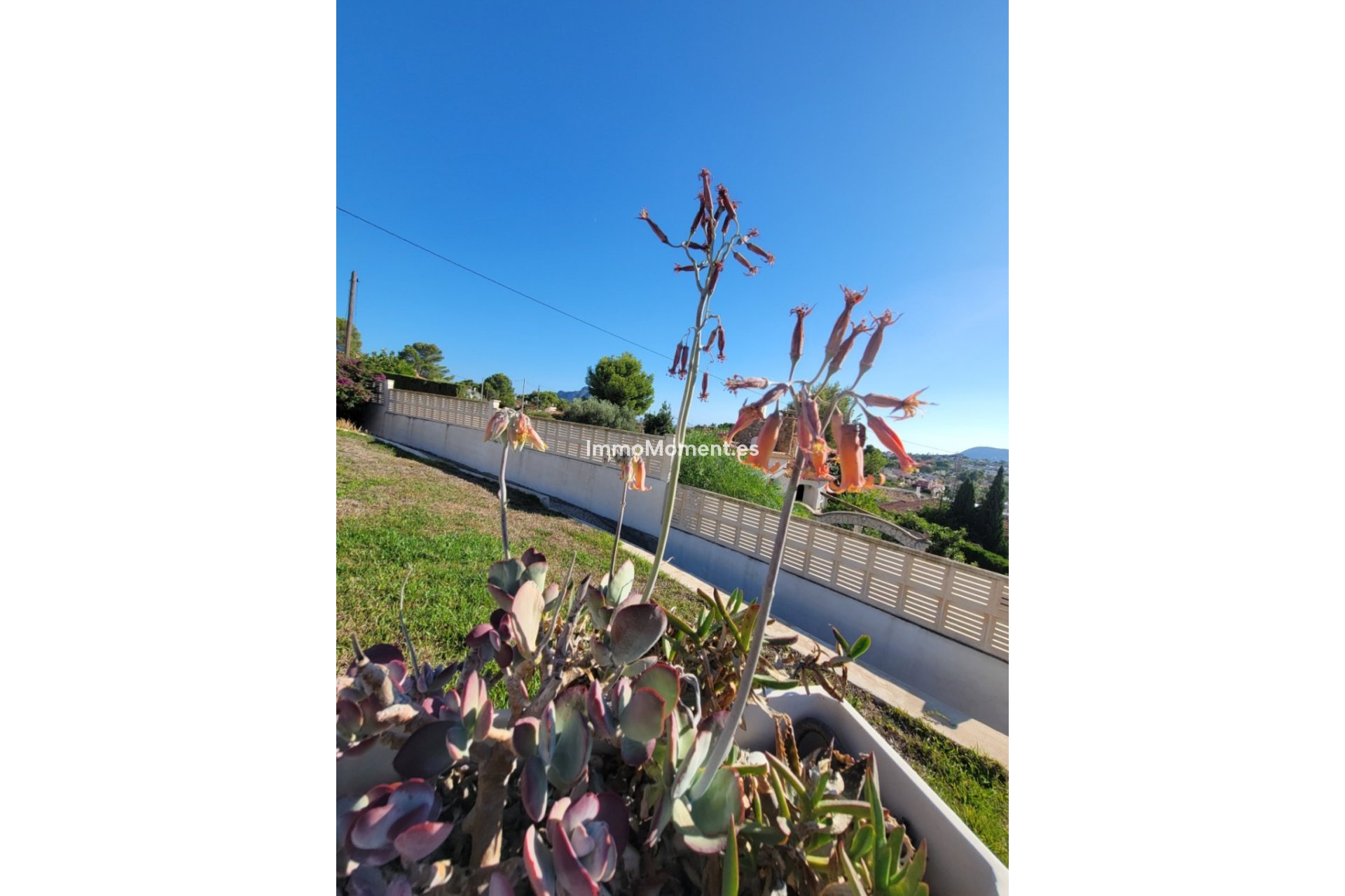 Revente - Villa - Calpe - Calpe Centro