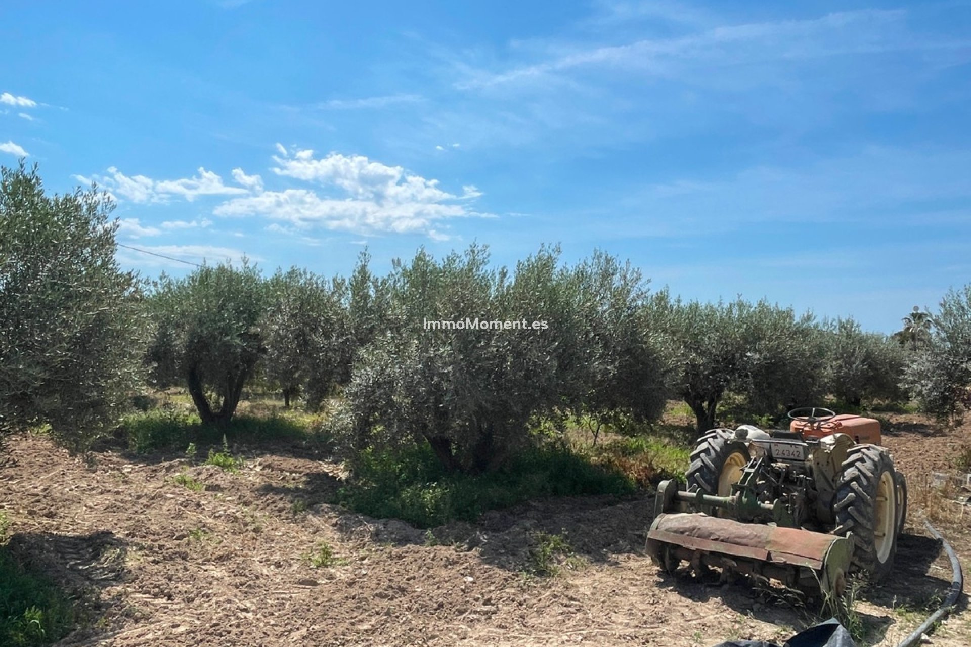 Revente - Villa - Crevillente - Crevillente - Crevillent Centro