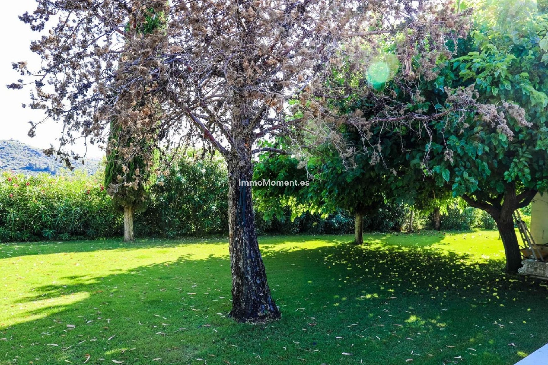 Revente - Villa - Denia - Jesús Pobre