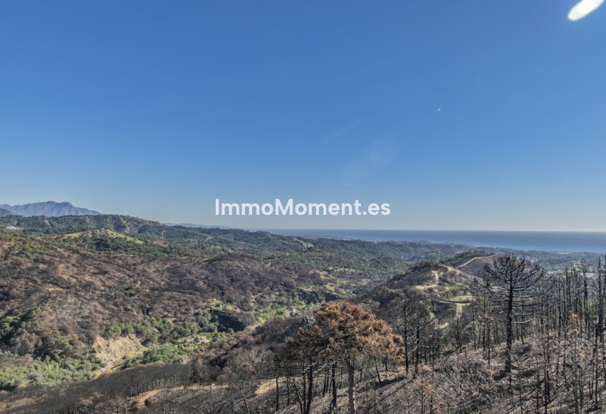 Revente - Villa - Estepona  - Estepona Centro