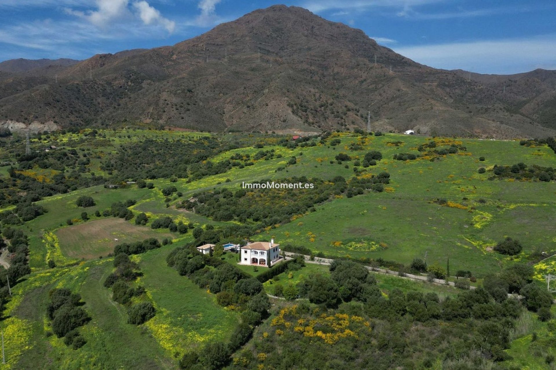 Revente - Villa - Estepona  - Estepona Centro