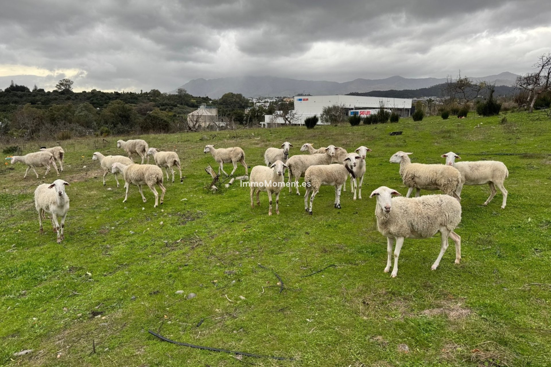 Revente - Villa - Estepona  - Estepona Centro