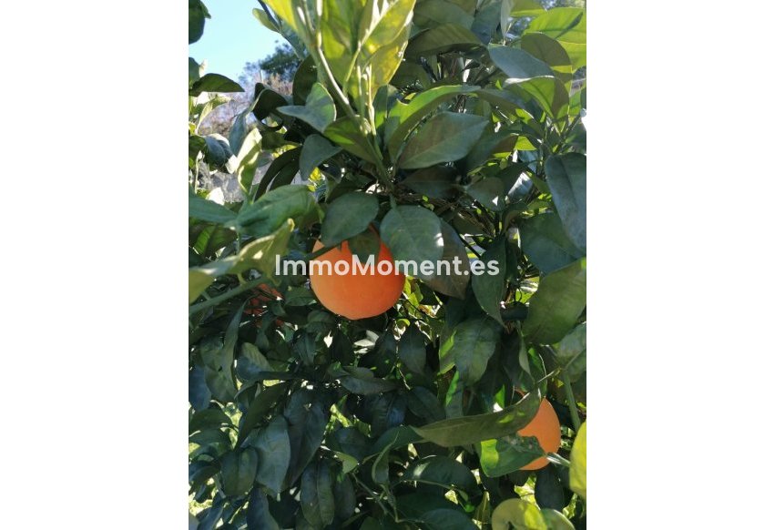 Revente - Villa - Estepona  - Selwo