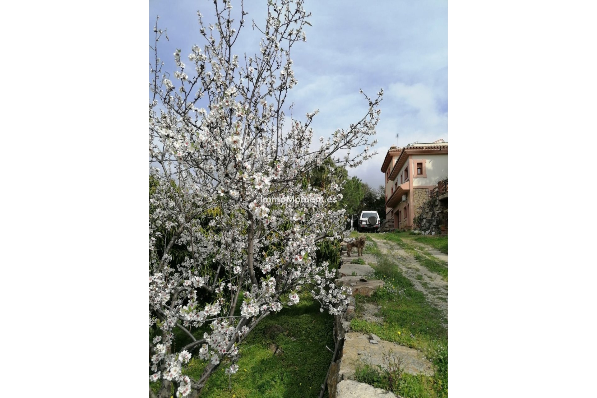 Revente - Villa - Estepona  - Selwo