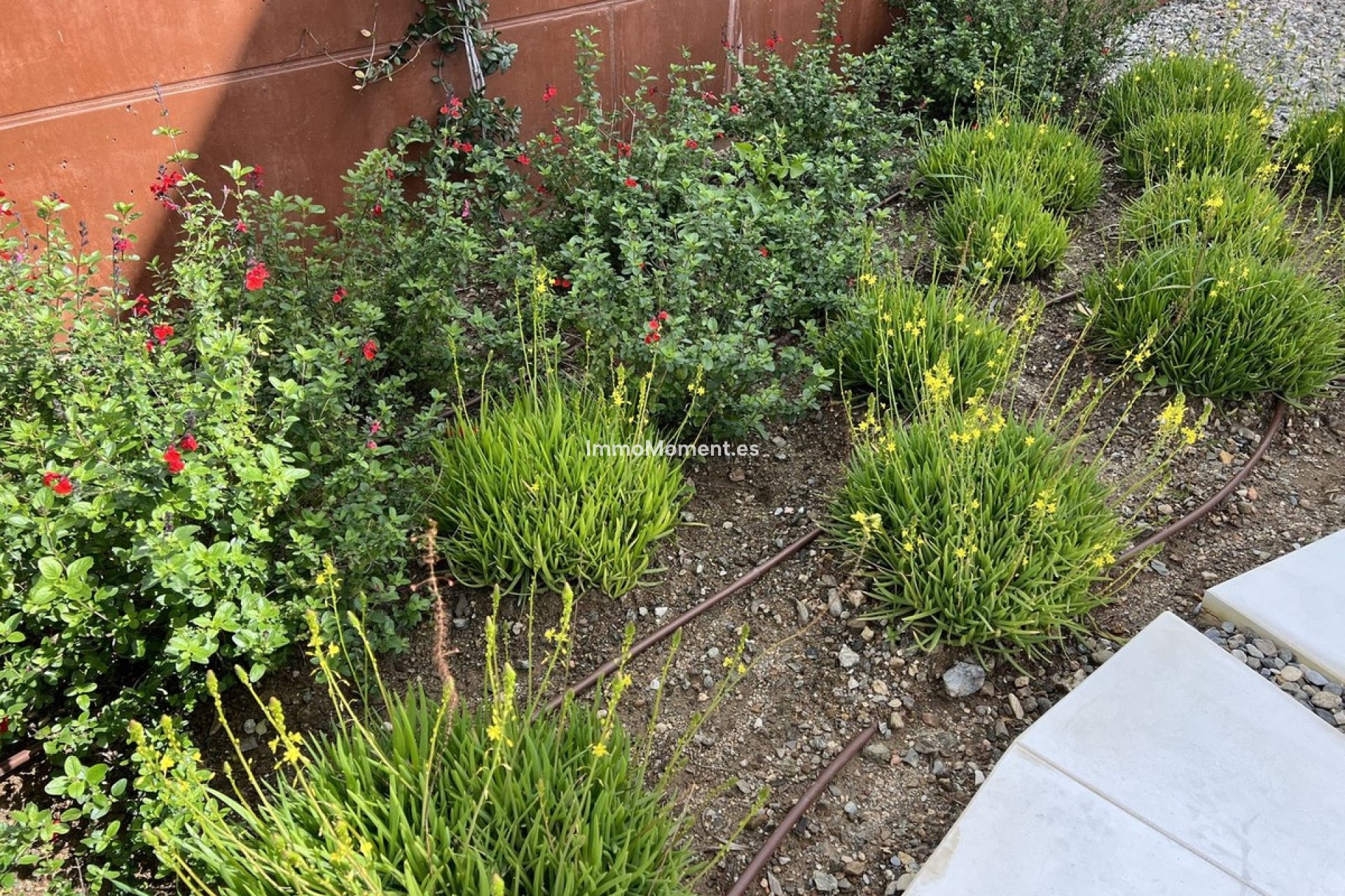 Revente - Villa - Fuengirola - Fuengirola Centro