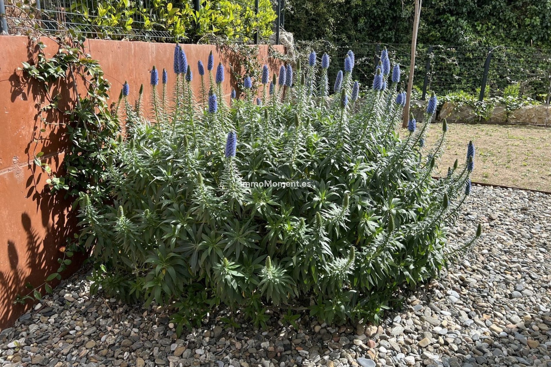 Revente - Villa - Fuengirola - Fuengirola Centro