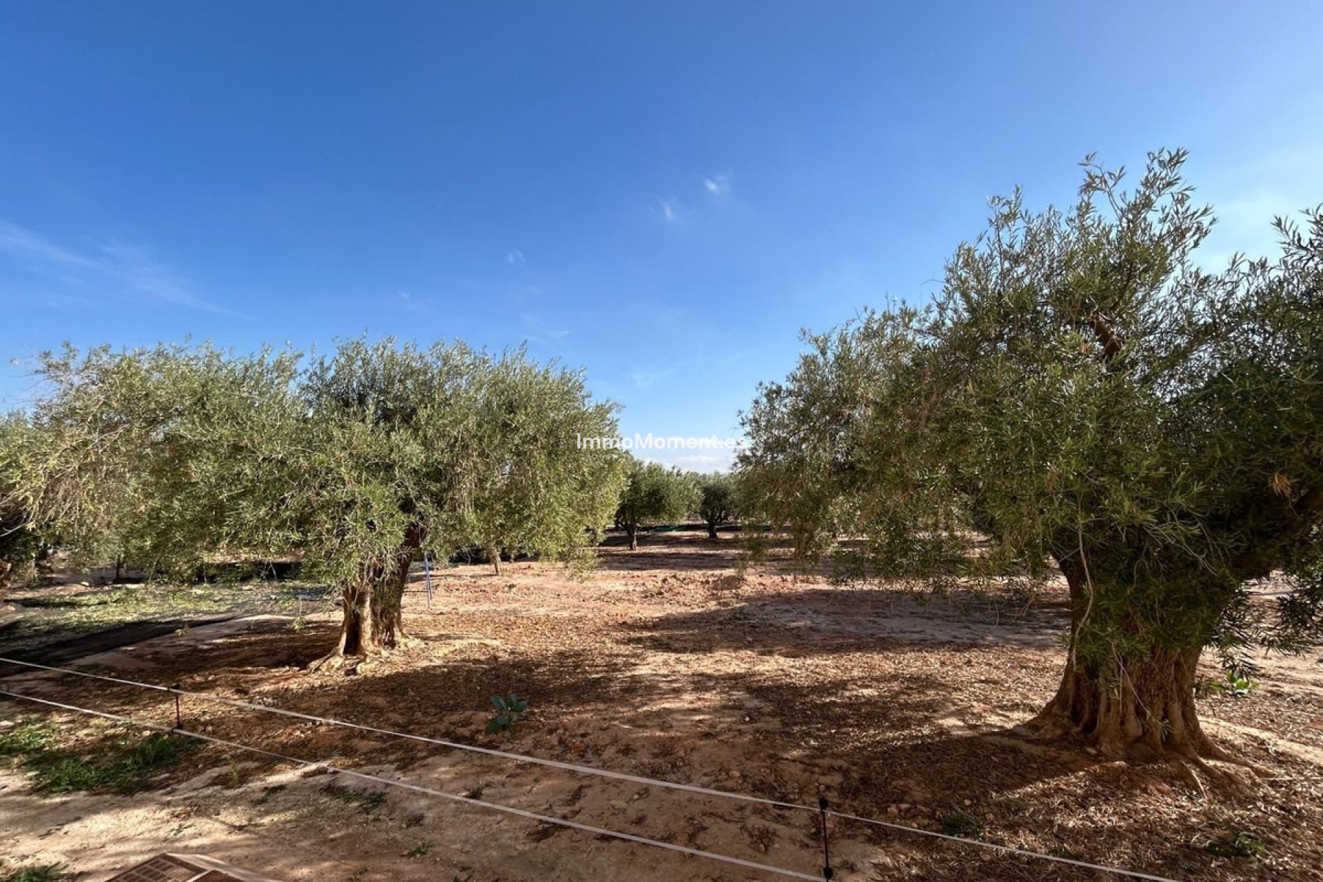 Revente - Villa - Fuente Alamo - Fuente Álamo de Murcia