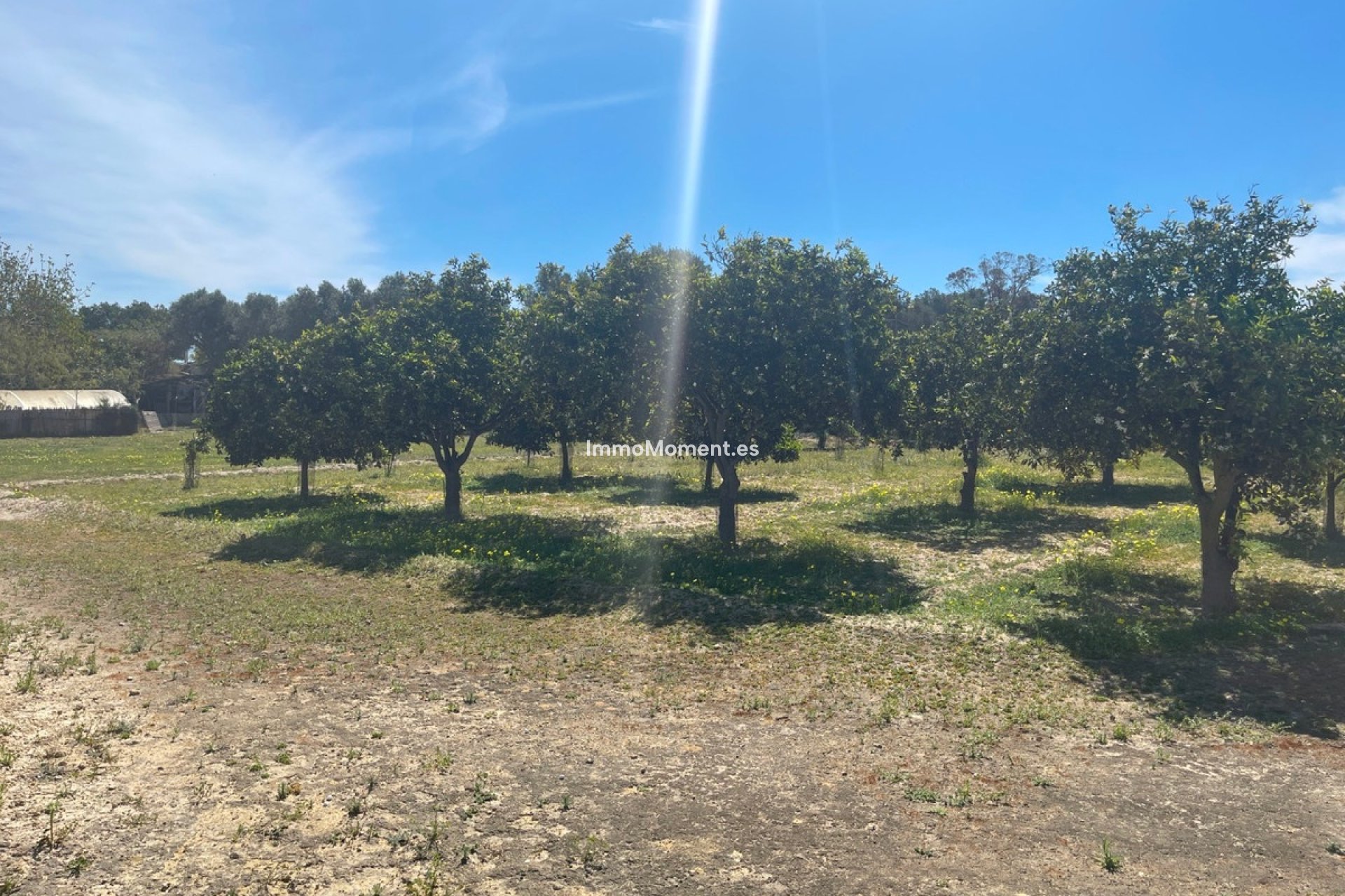 Revente - Villa - Guardamar del Segura - Guardamar del Segura Centro