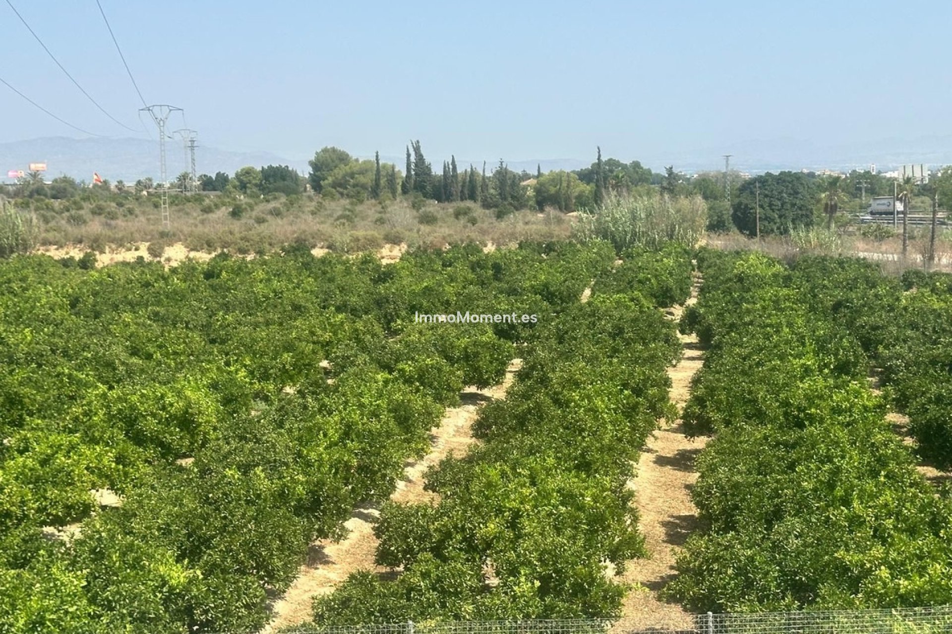 Revente - Villa individuelle - Algorfa - Algorfa Centro
