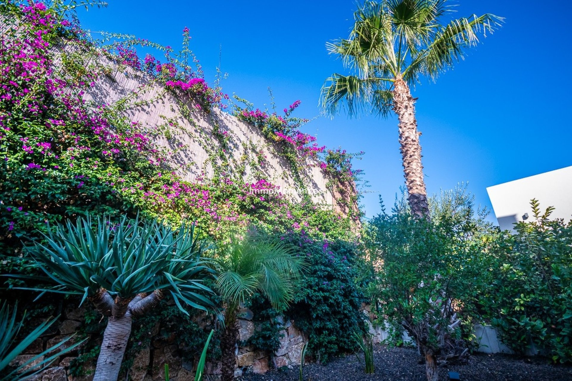 Revente - Villa individuelle - Algorfa - Algorfa Centro