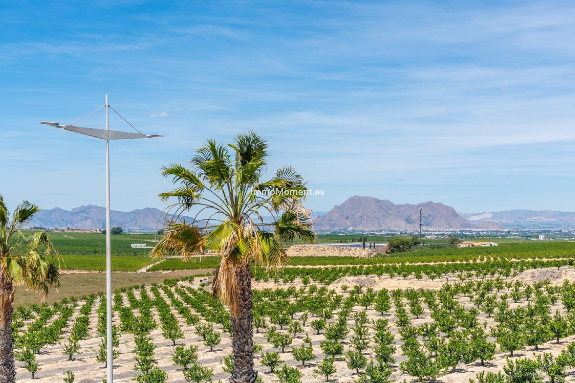 Revente - Villa individuelle - Algorfa - Algorfa Centro