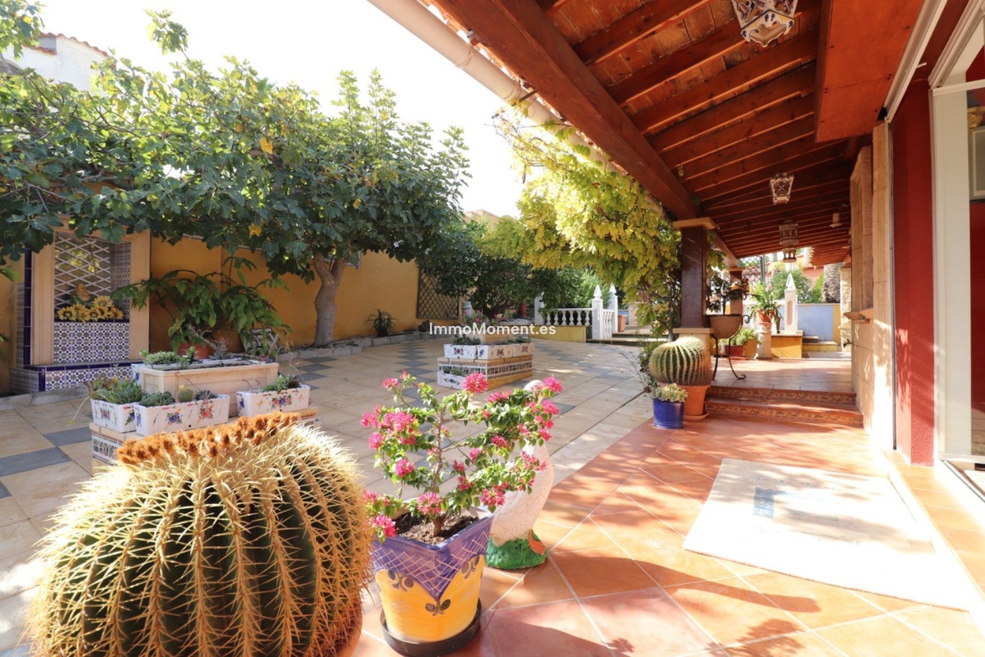 Revente - Villa individuelle - Algorfa - Algorfa Centro