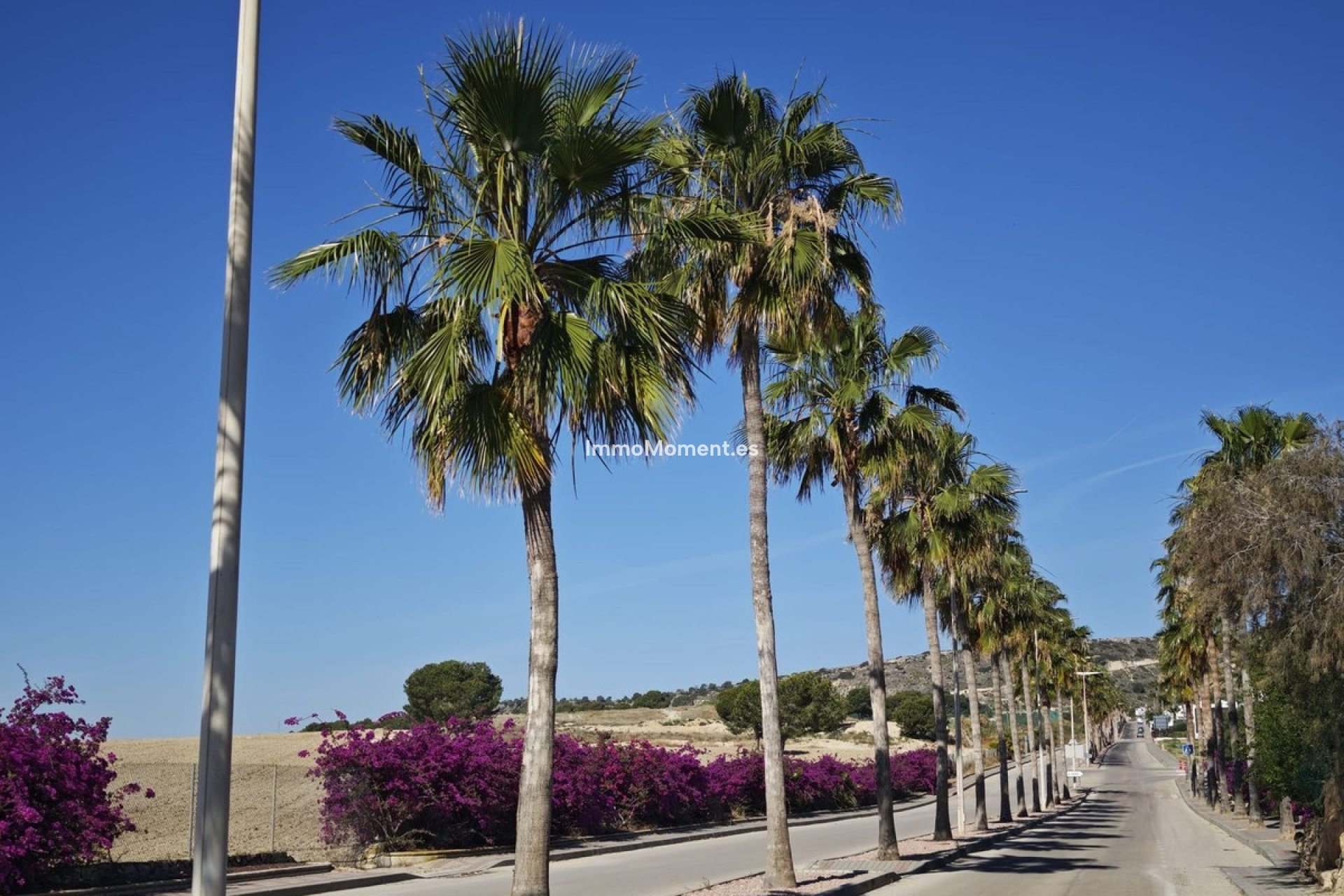 Revente - Villa individuelle - Algorfa - Algorfa Centro