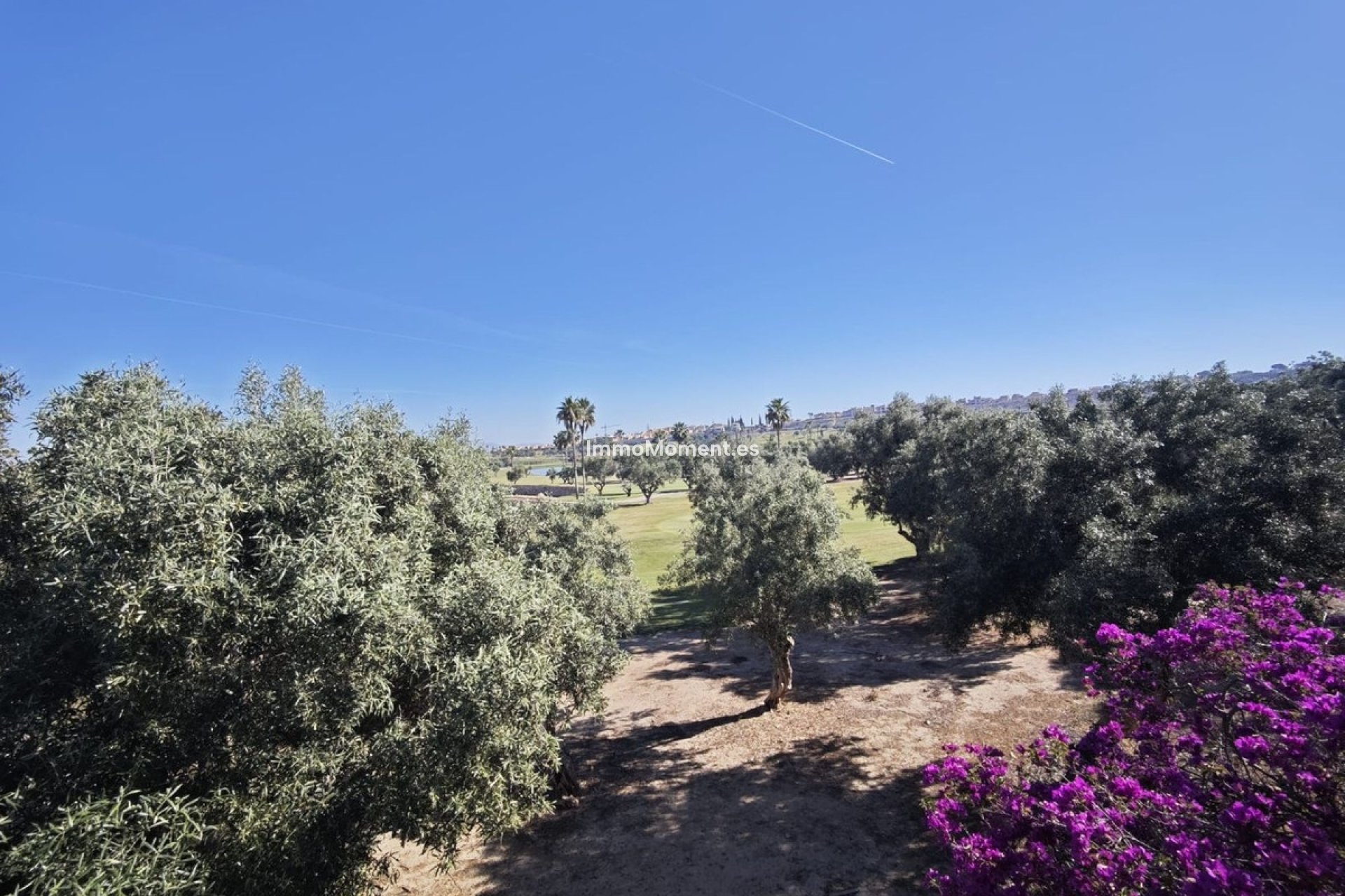 Revente - Villa individuelle - Algorfa - Algorfa Centro