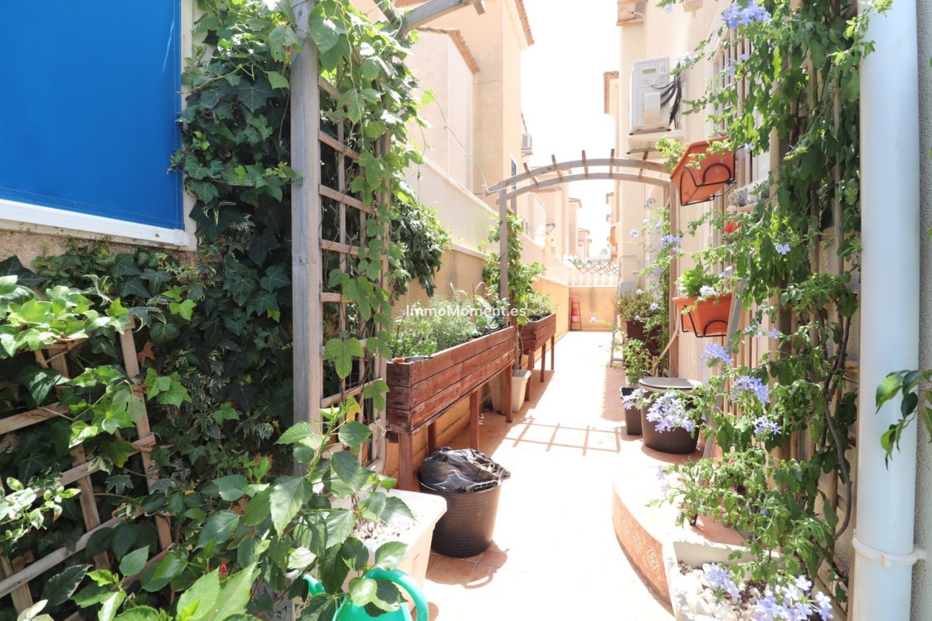 Revente - Villa individuelle - Algorfa - Algorfa Centro