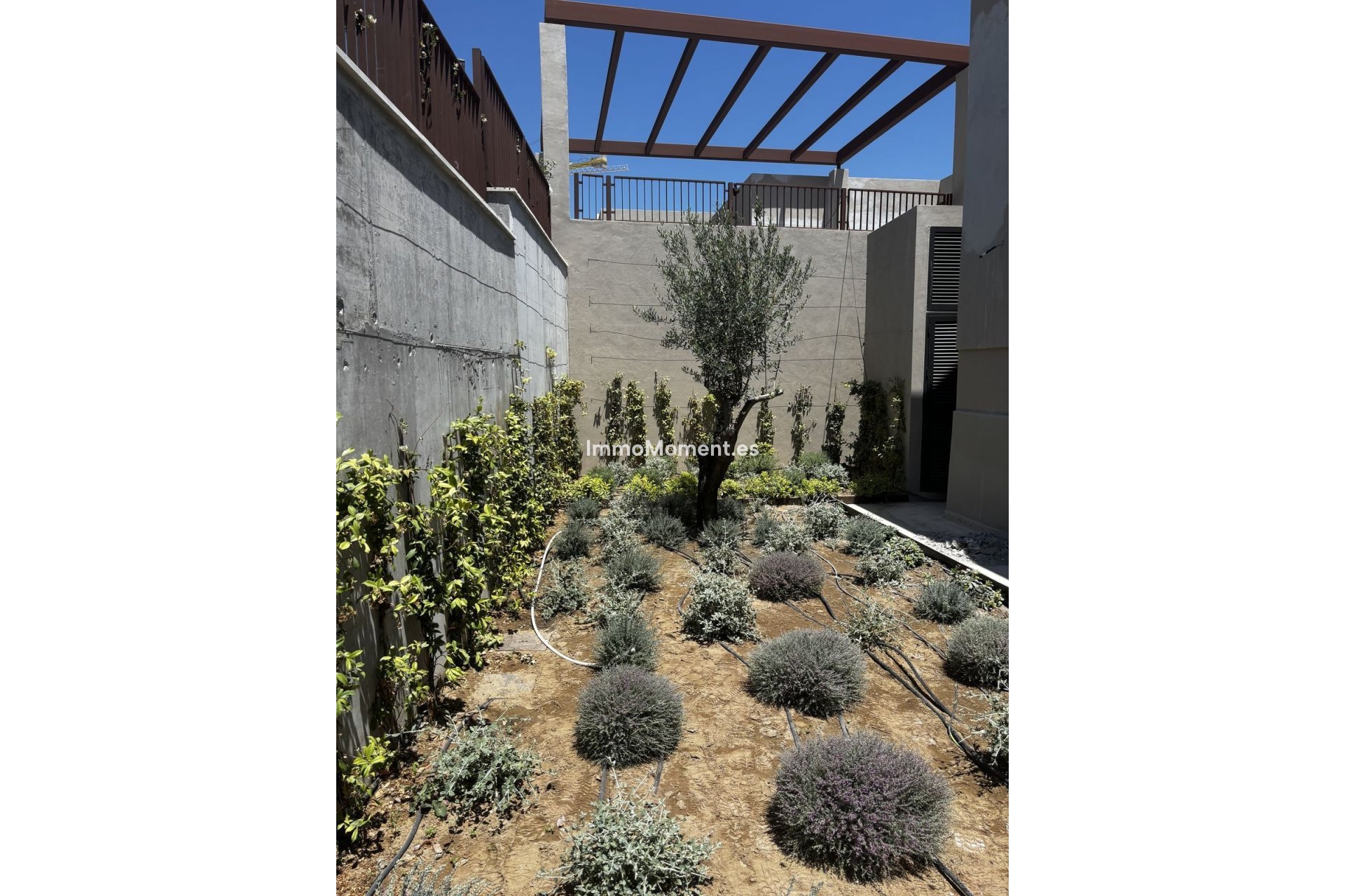 Revente - Villa individuelle - Benahavís - Benahavís Centro