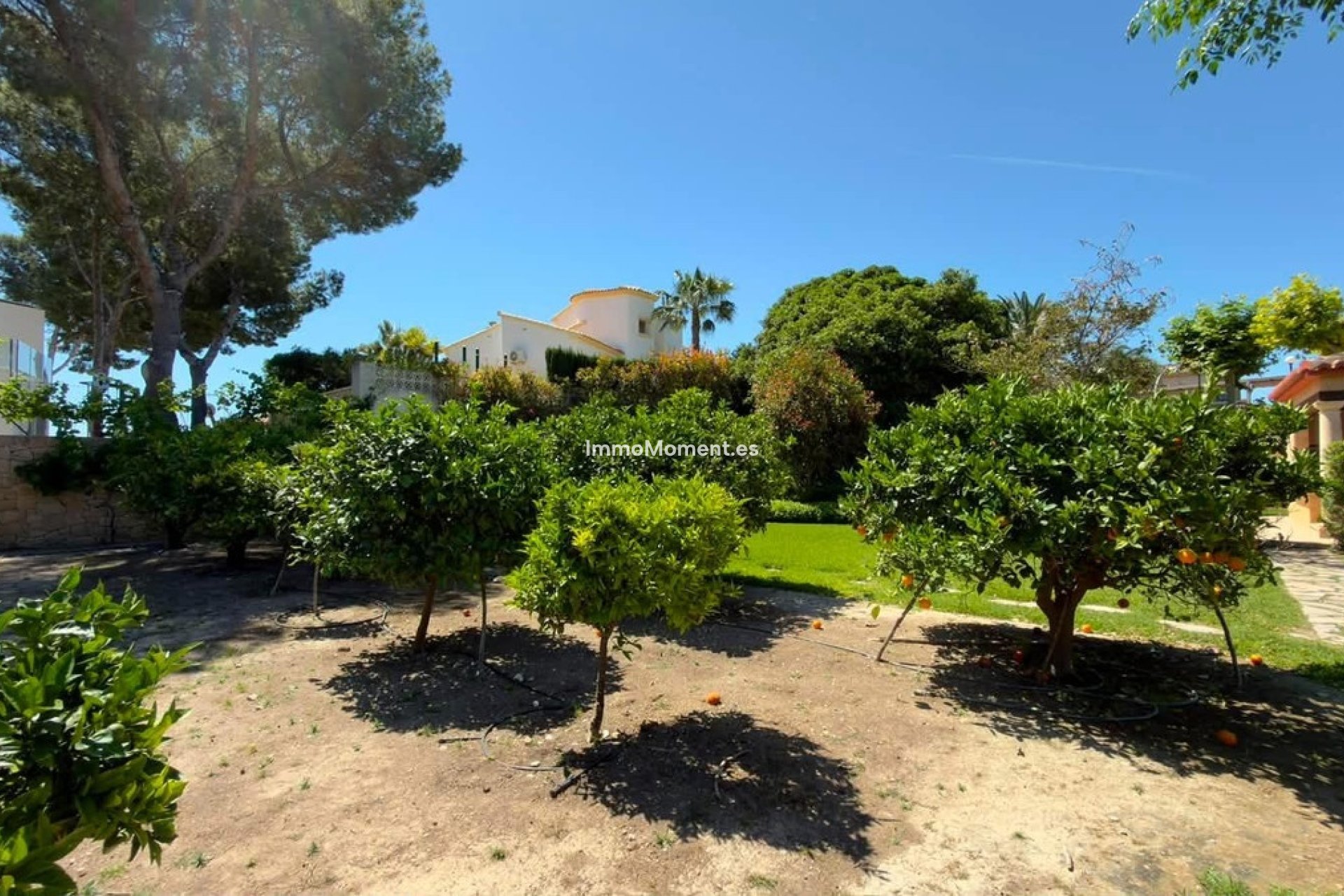 Revente - Villa individuelle - Calpe - Calpe Centro