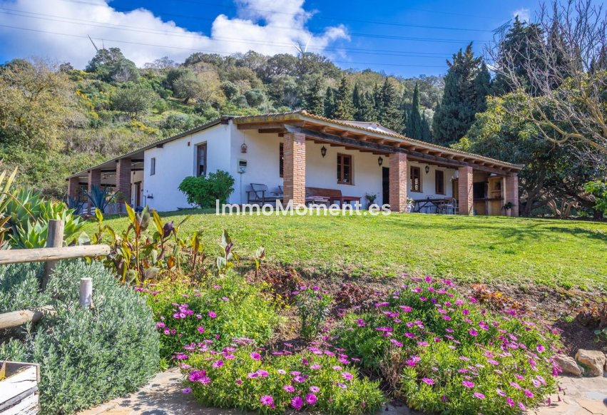 Revente - Villa individuelle - Casares - Casares Centro