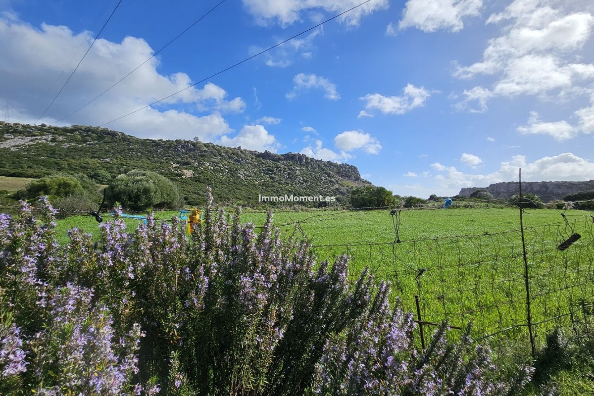 Revente - Villa individuelle - Casares - Casares Centro