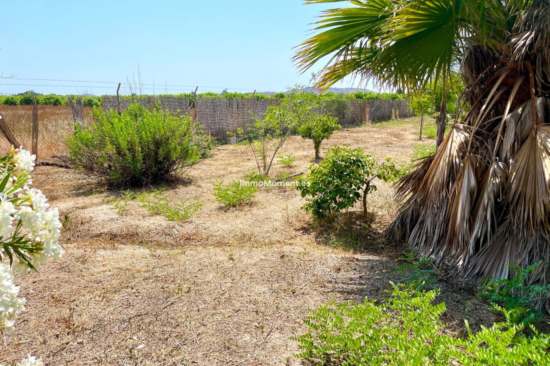 Revente - Villa individuelle - Daya Nueva - Daya Nueva Centro