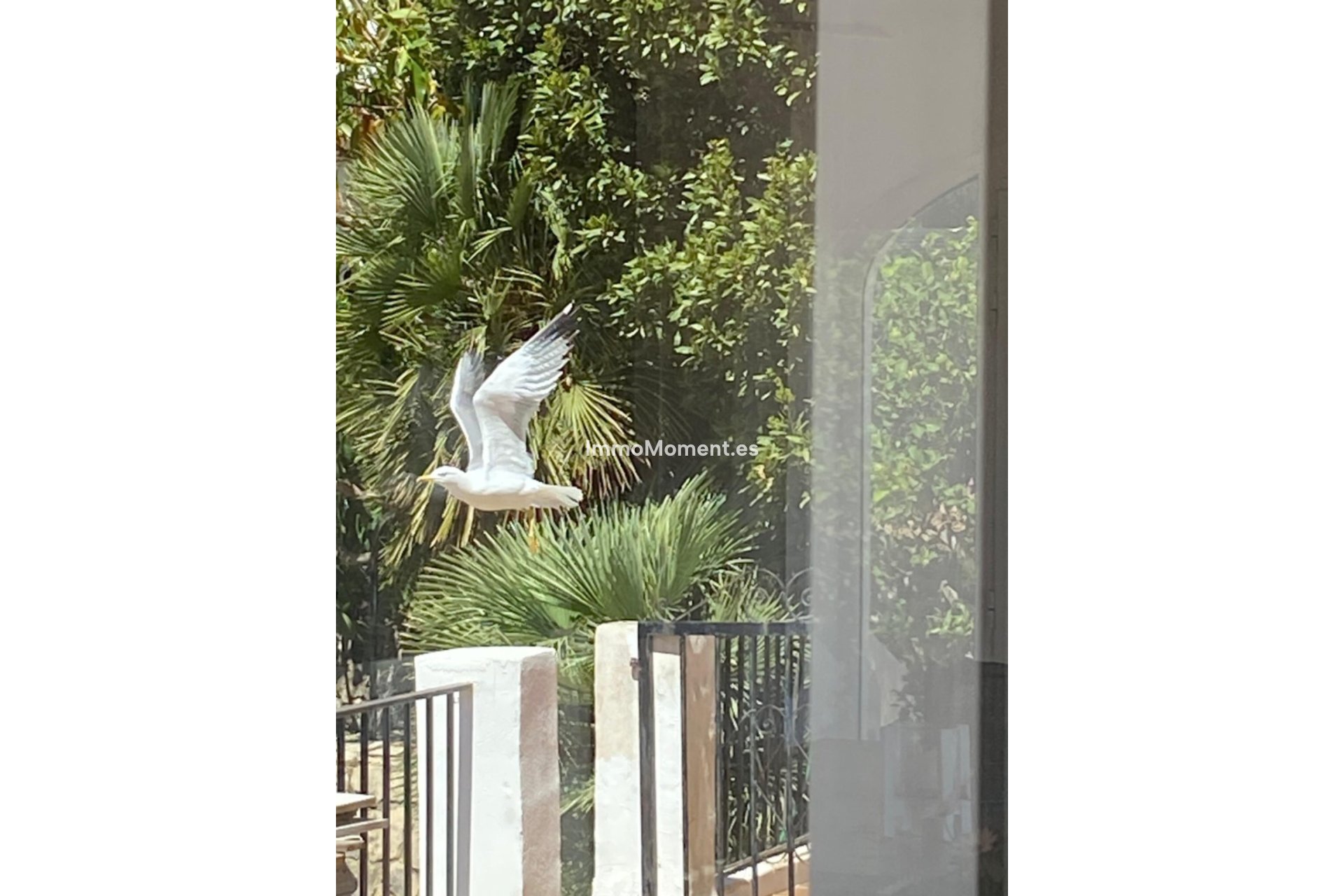 Revente - Villa individuelle - Denia - Denia Centro