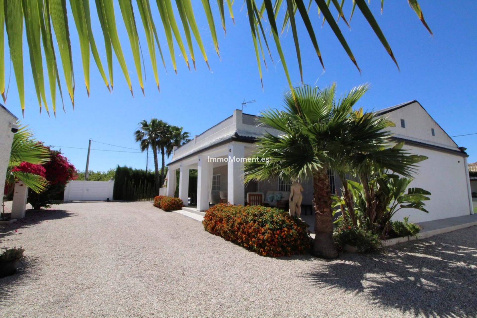 Revente - Villa individuelle - Elche - Elche Centro