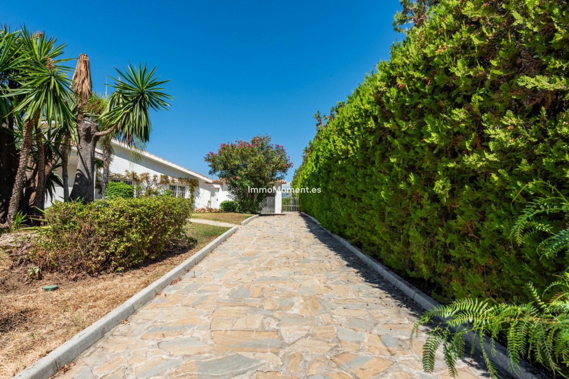 Revente - Villa individuelle - Estepona  - Atalaya