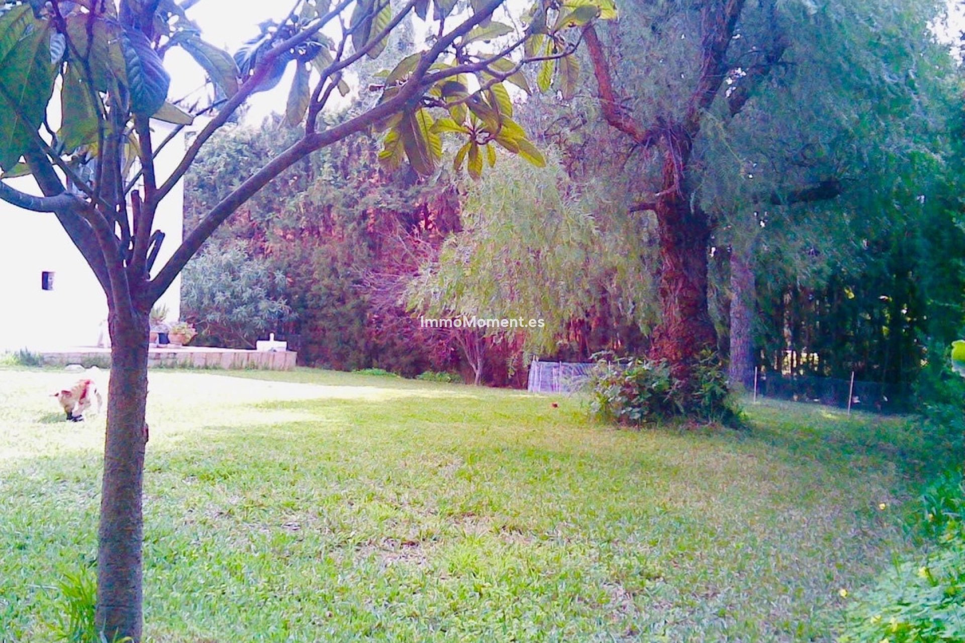 Revente - Villa individuelle - Estepona  - Atalaya