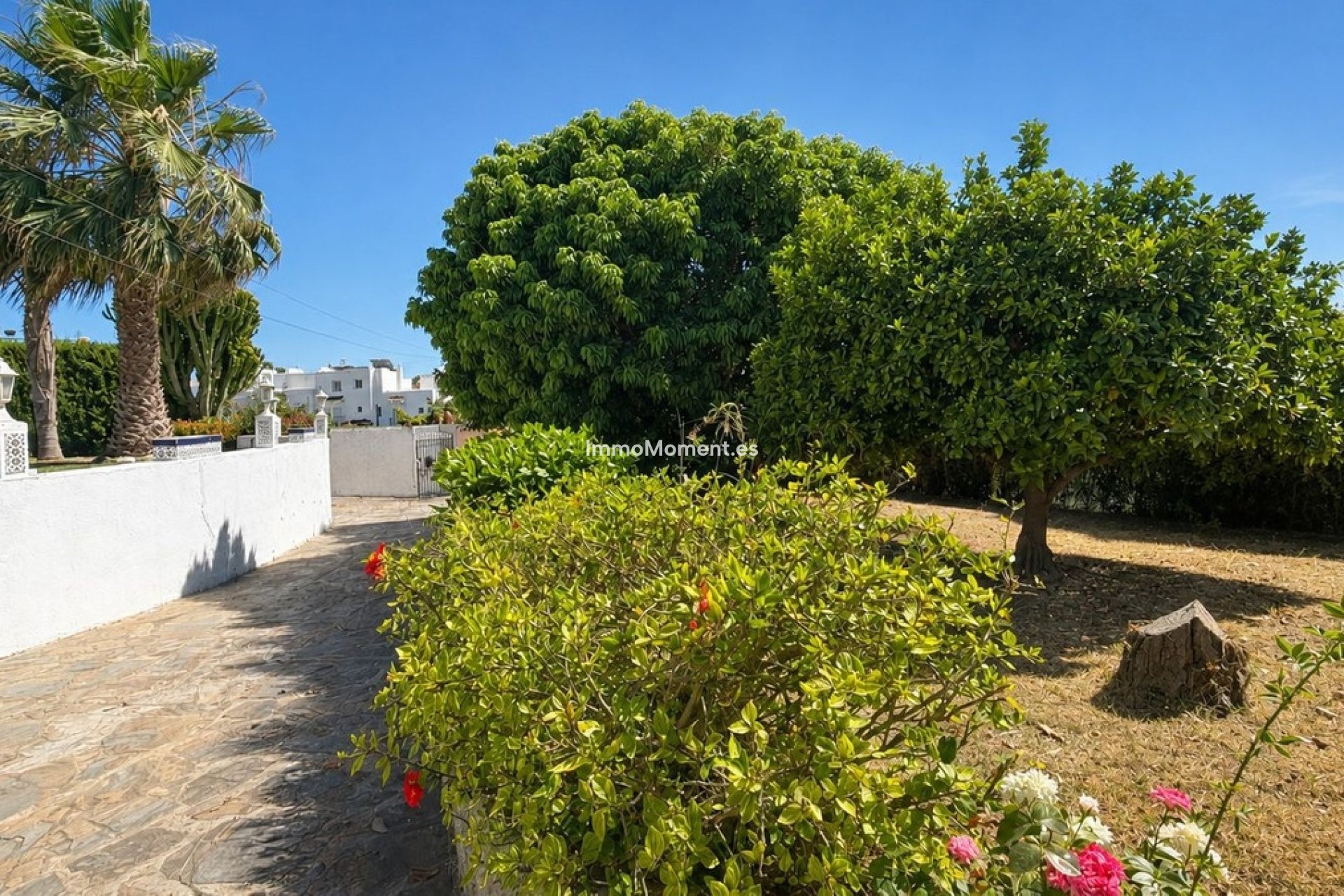 Revente - Villa individuelle - Estepona  - Estepona Centro