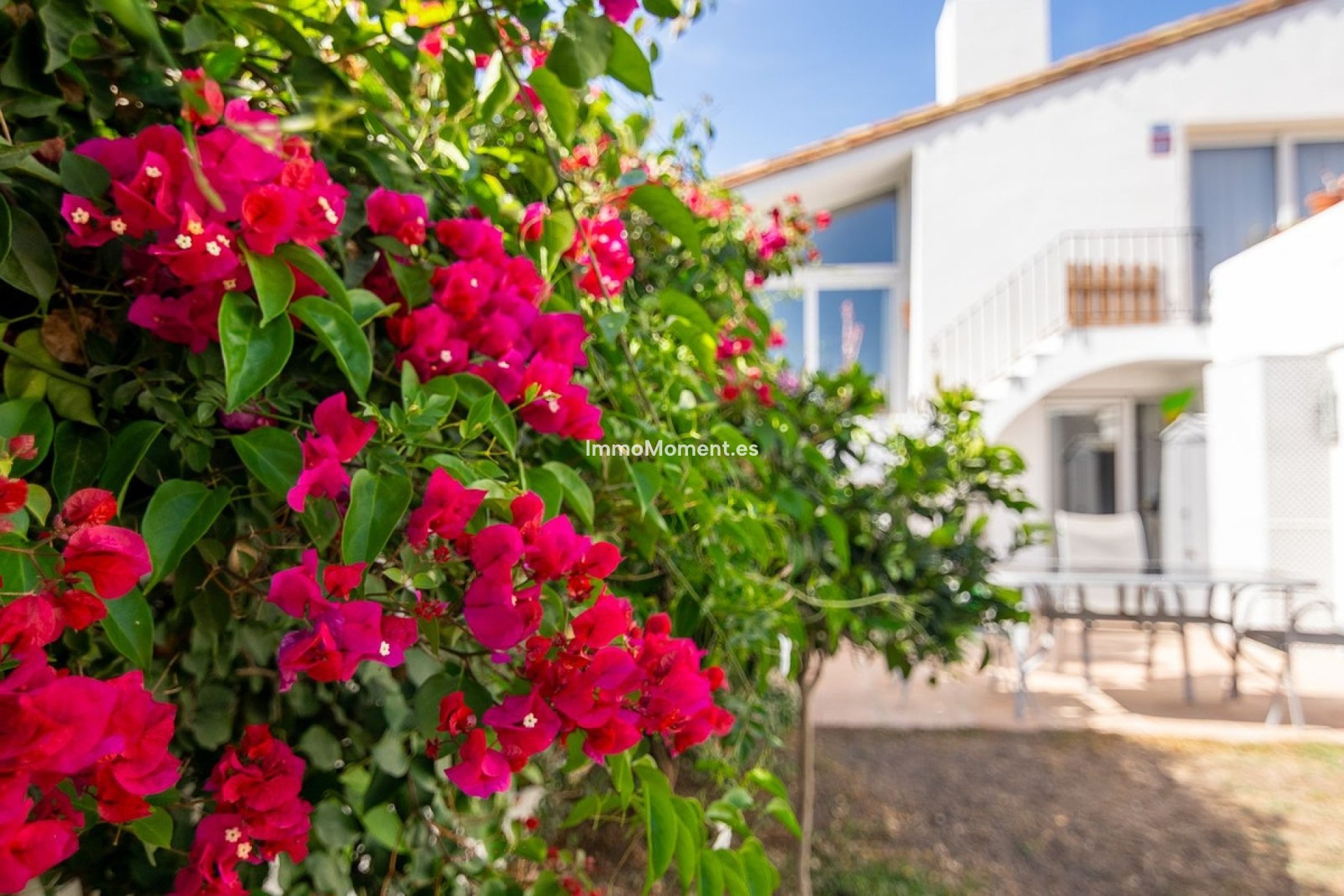Revente - Villa individuelle - Estepona  - Estepona Centro