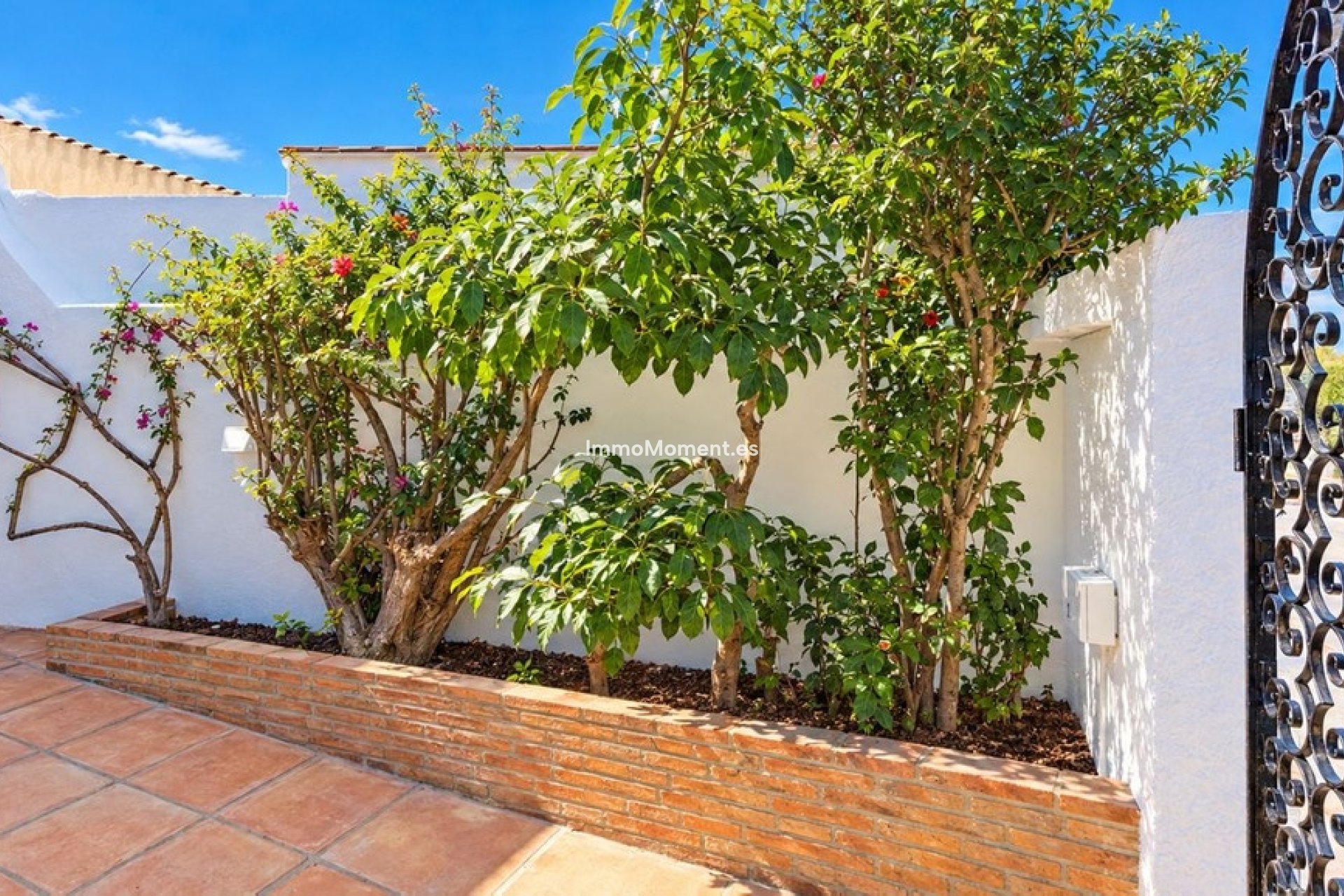Revente - Villa individuelle - Estepona  - Estepona Centro
